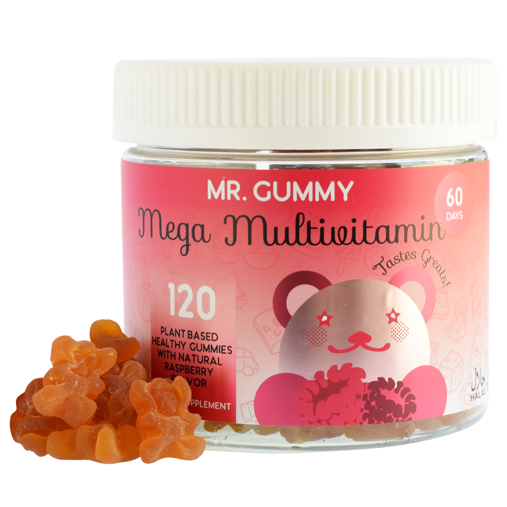 KIDS MEGA MULTIVITAMIN (RASPBERRY) 120 CT